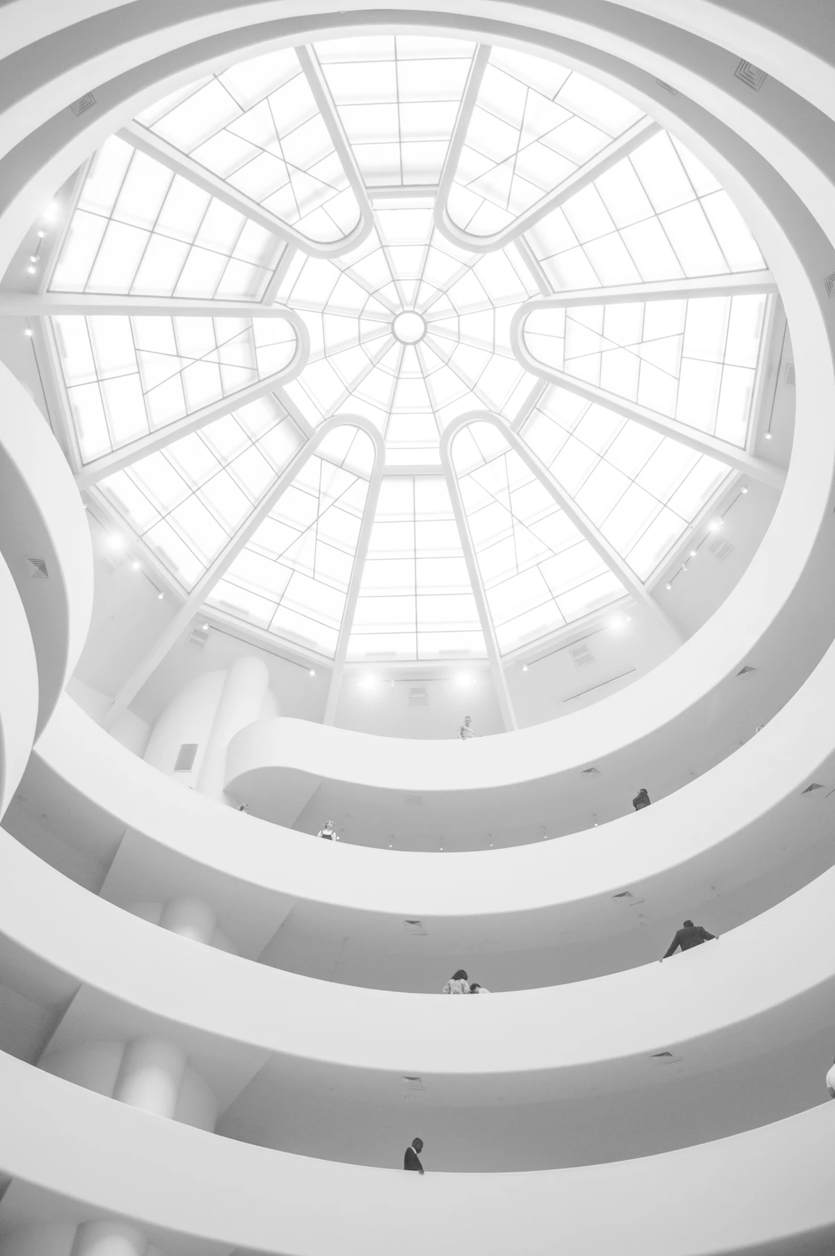 An ascending spiral rotunda — the arc a business climbs